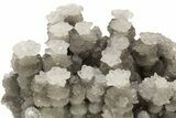 Cave Calcite Flower Stalactites - China #226192-4